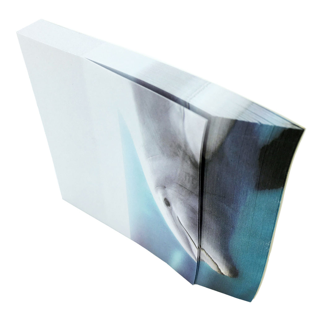 4A self-sticky notes, 3D printed with Risso's Dolphin, 95mm×105mm, 100 ...